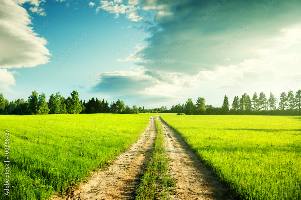 ground road and field of spring grass