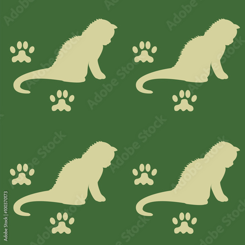 cat trail