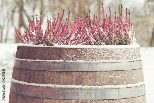 Pink heather in a wooden ba...
