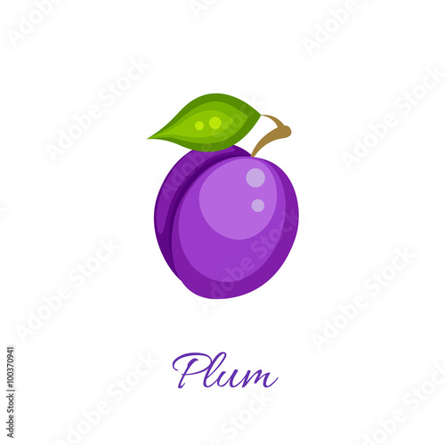 Purple plum isolated vector icon. Plum fruit on branch with leaf. Purple plum logo. Plum juice or jam branding logotype.