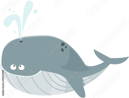 Naklejka na ścianę duży płetwal błękitny