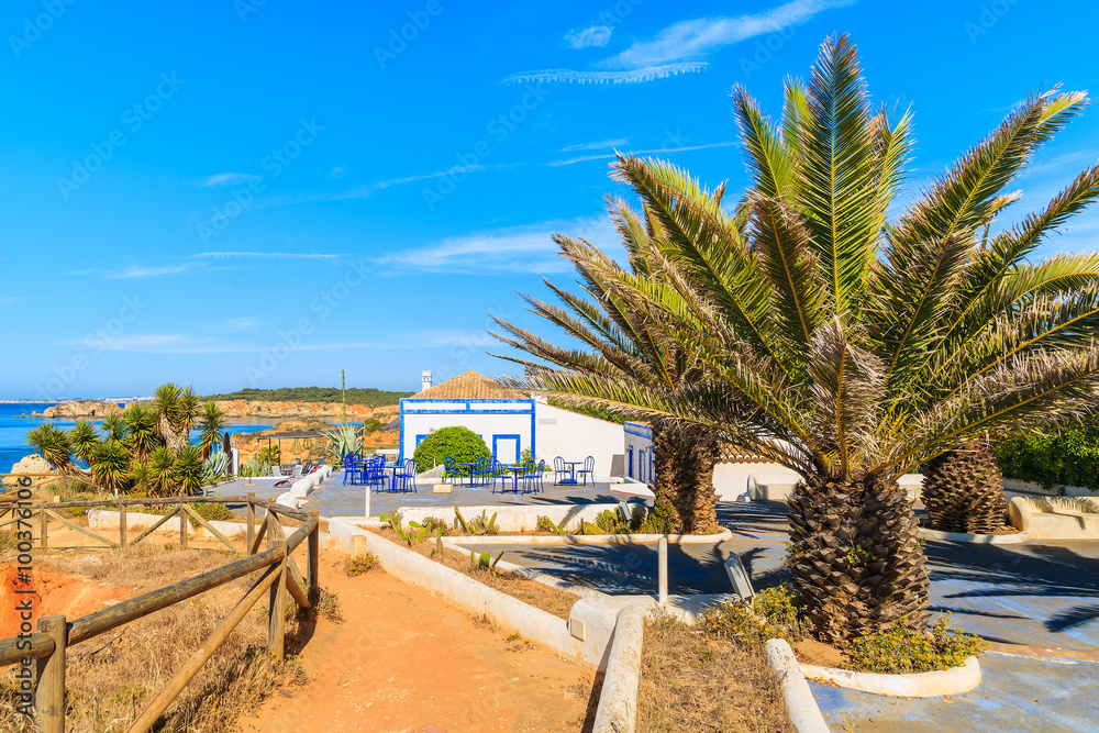 Palm trees and houses on coastal path along Praia da Rocha beach, Algarve region, Portugal