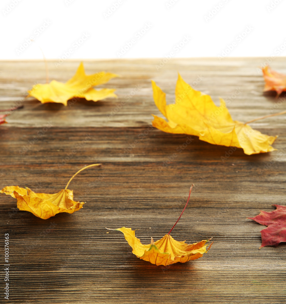 Obraz premium Yellow autumn leaves on wooden table, isolated on white