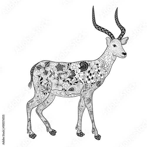 Antelope doodle