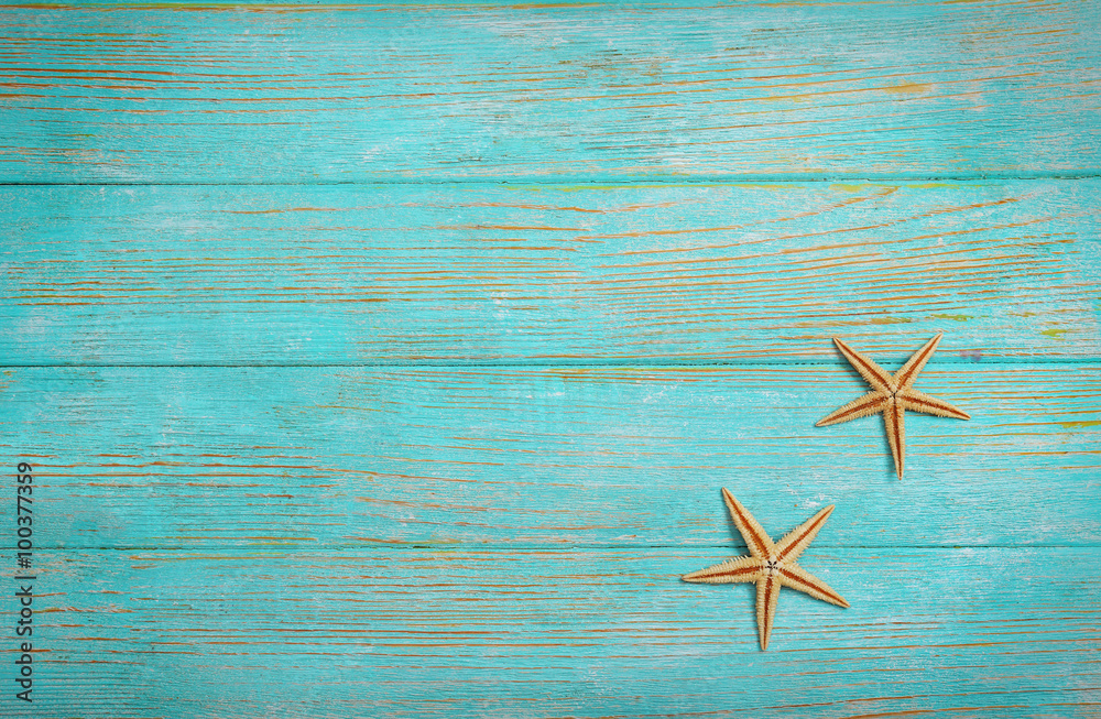 Obraz premium Seashells on wooden background