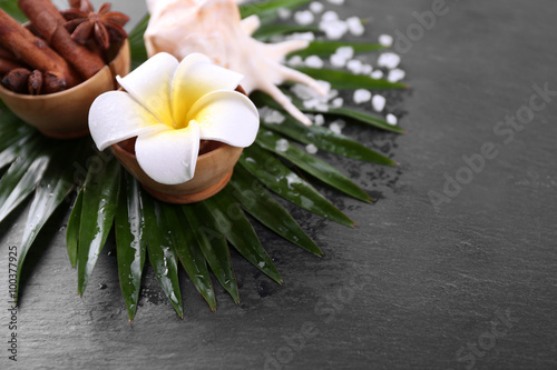 Beautiful spa setting on palm leaf on grey background photo