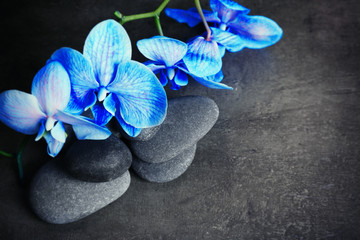 Plexiglas schilderij Spa Blauwe orchidee met zen stenen  © Africa Studio