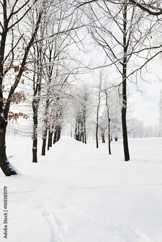 Winter Park ,  snow.