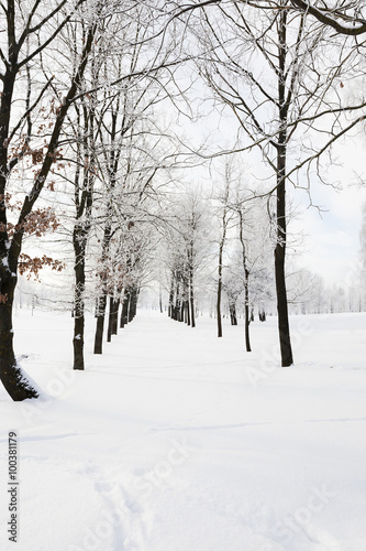 Winter Park ,  snow. © rsooll