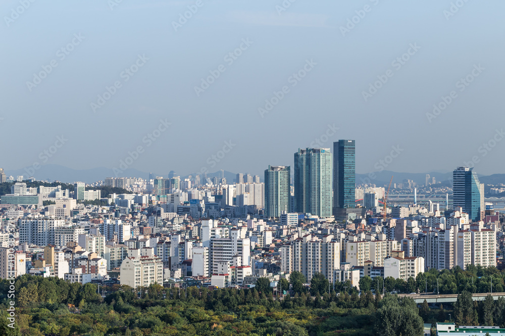 Naklejka premium 빌딩숲