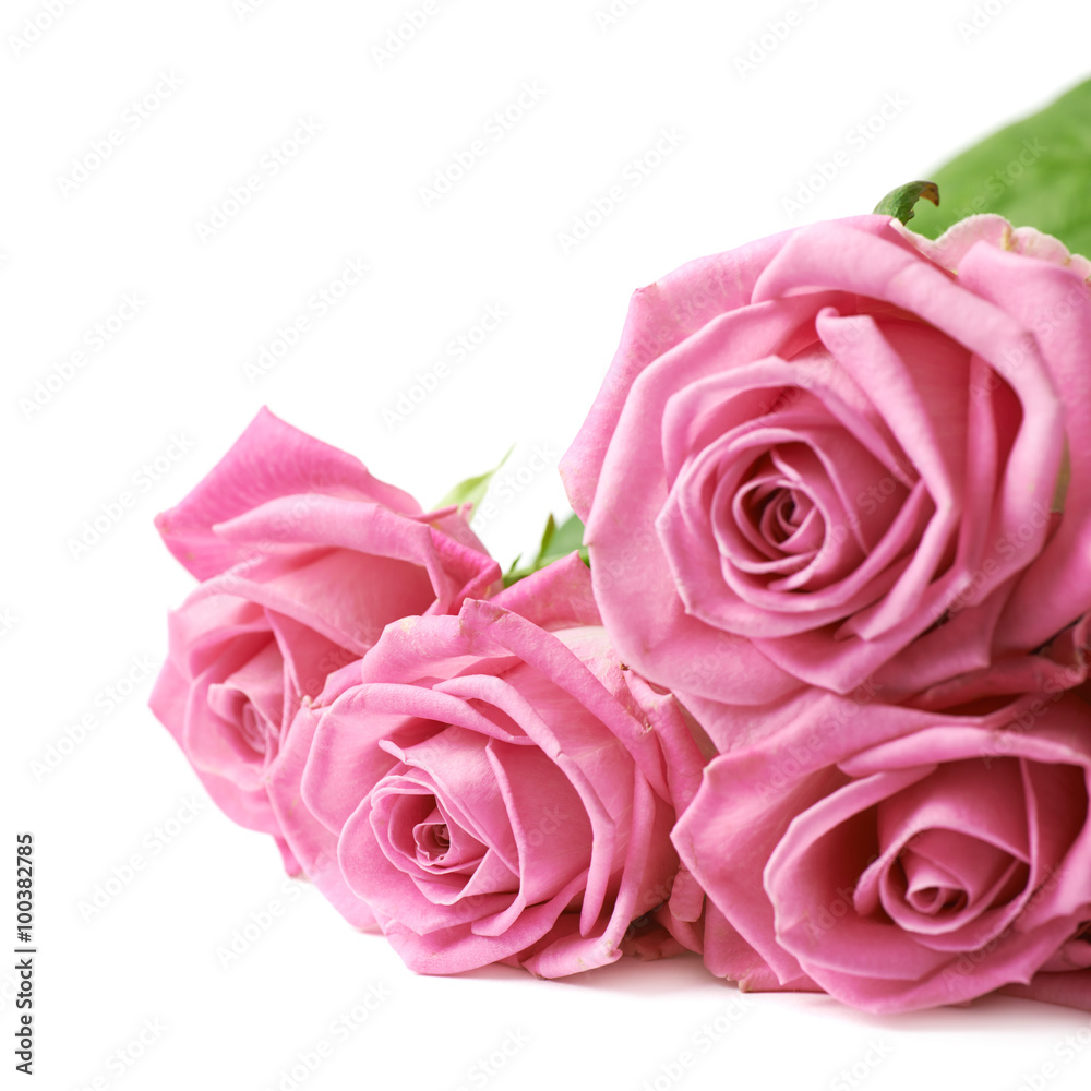 Bouquet of pink roses isolated Bouquet of pink roses isolated