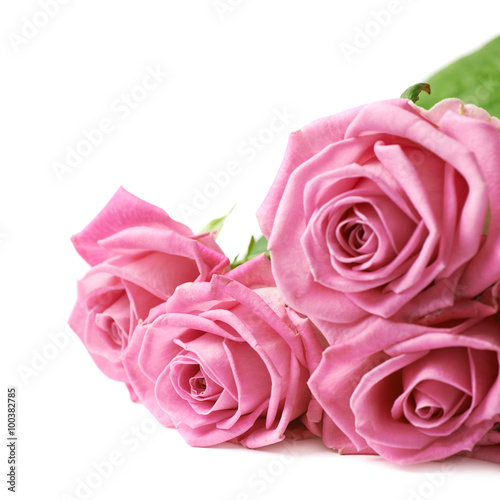 Bouquet of pink roses isolated