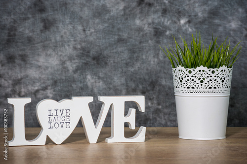 Love life concept. Love written in white letters and a plant on the table