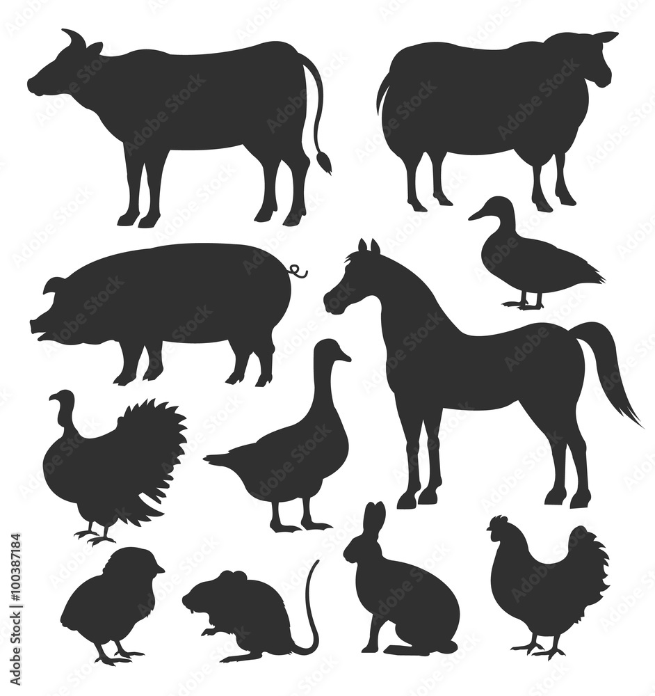 Vector farm animal black silhouettes icon set