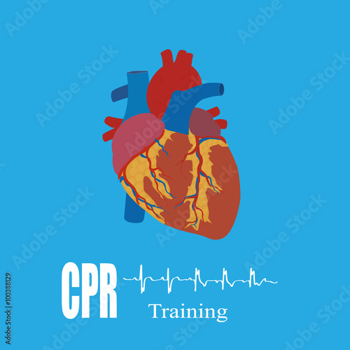 CPR training, vector illustration