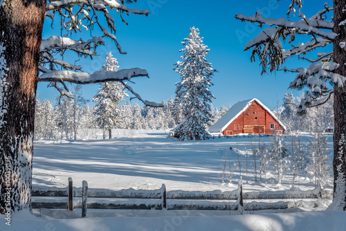 Christmas sceen of a red barn in winter snow photo