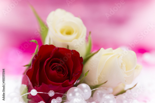 Valentine red rose abstract...