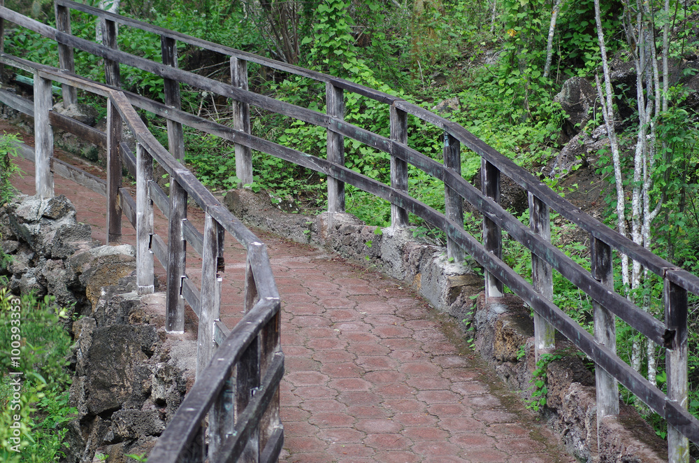 Patterned stone path for tourists with wooden railing sorrounded by green vegetation on Galapagos Islands, Ecuador