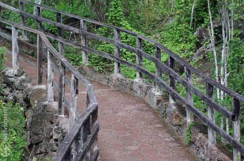 Patterned stone path for tourists with wooden railing sorrounded by green vegetation on Galapagos Islands, Ecuador