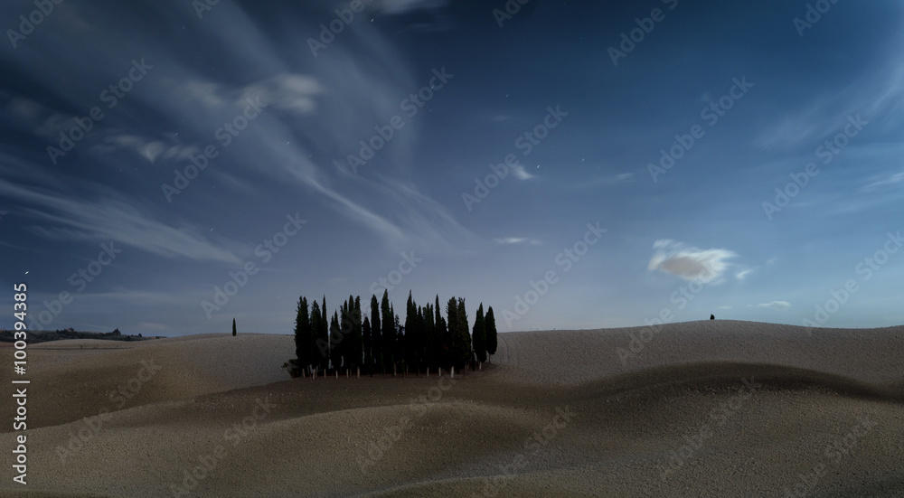 Obraz premium Cyprysy w Toskanii nocą