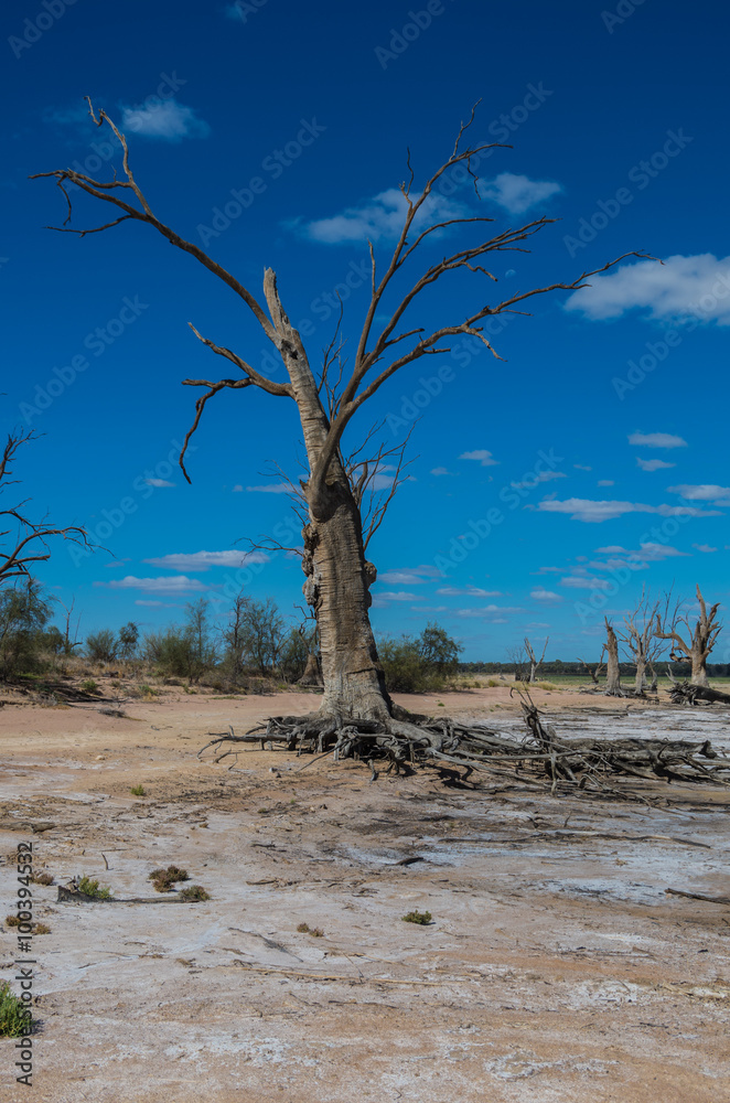 Outback South Australia , Yacto Lagoon dries up in the searing Summer temperatures
