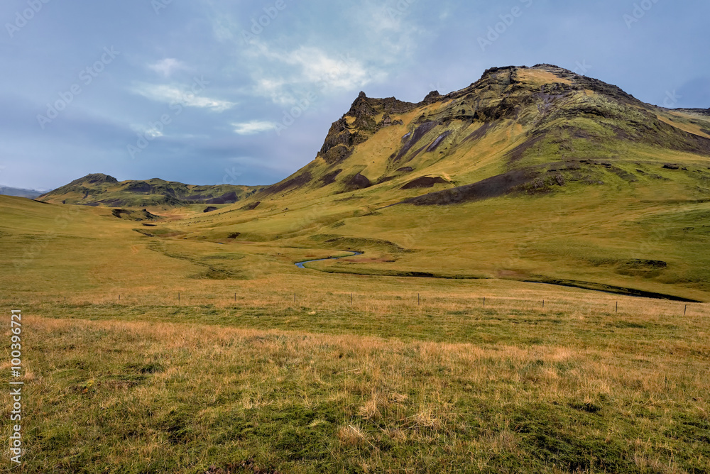 Iceland, Beautiful arctic landscape, wild field with bright yellow grass and moss and distant black hills against the background of blue sky, nature