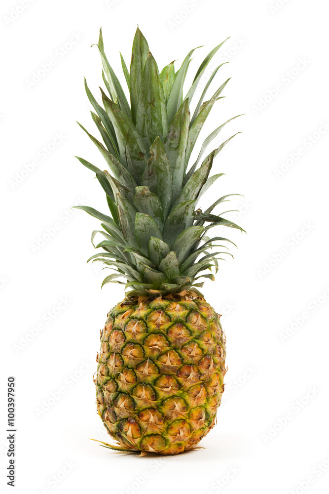 Pineapple isolated