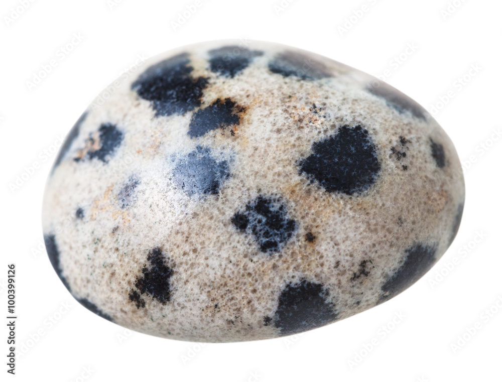 dalmatian jasper (Dalmatian stone) gemstone dalmatian jasper (Dalmatian stone) gemstone