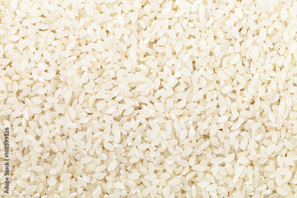 short grains of uncooked white Kuban rice short grains of uncooked white Kuban rice