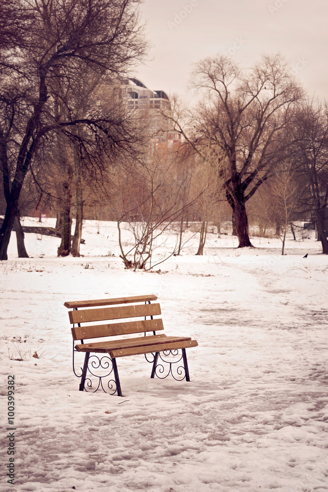 Lonely Bench in the Park Covered by Snow in Winter