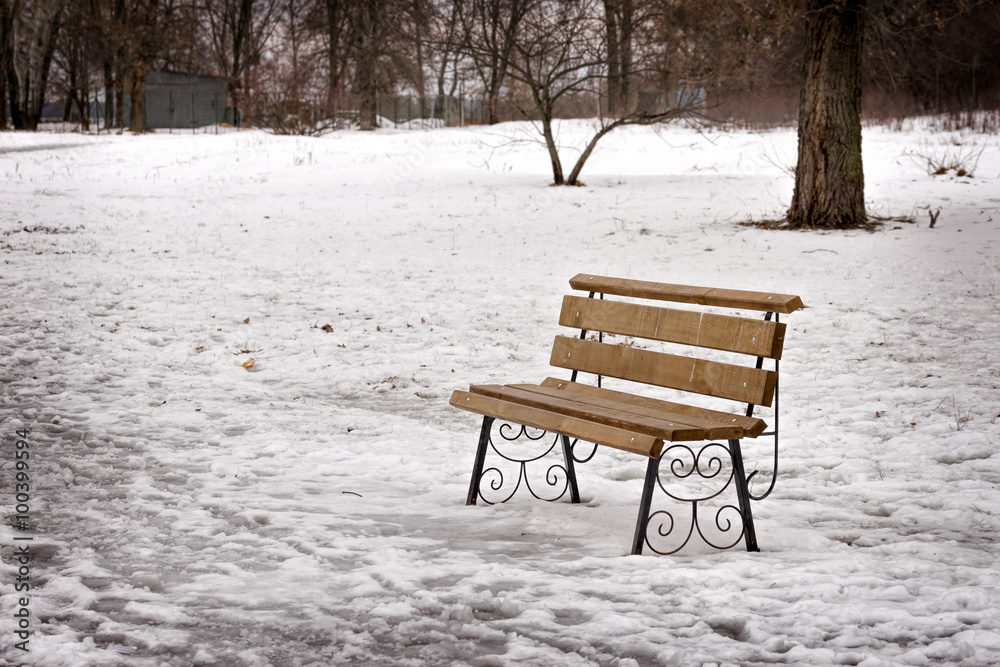 Lonely Bench in the Park Covered by Snow in Winter