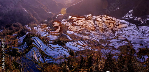 Yuan Yang terraces