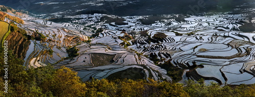 Fotografie Yuan Yang terraces