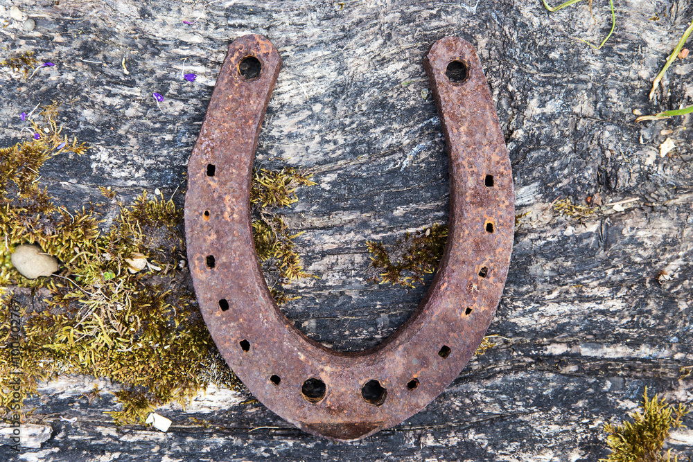 Postkarte aus Hufeisen auf altem Holzhintergrund mit Moos