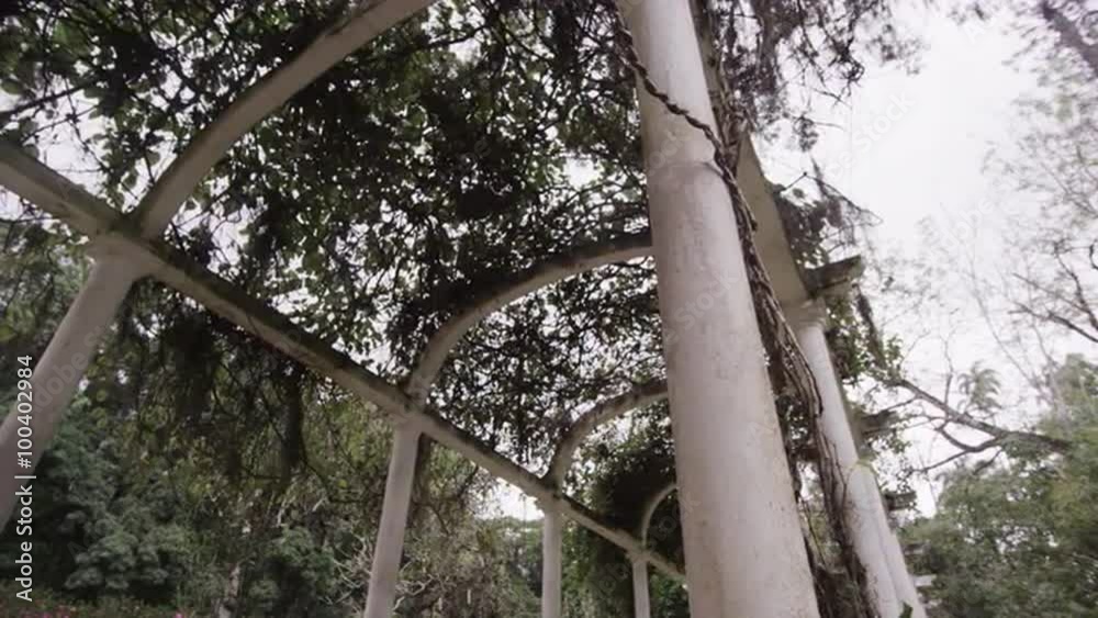 Panning shot of aged pillars in Jardim Botânico in the middle of Rio