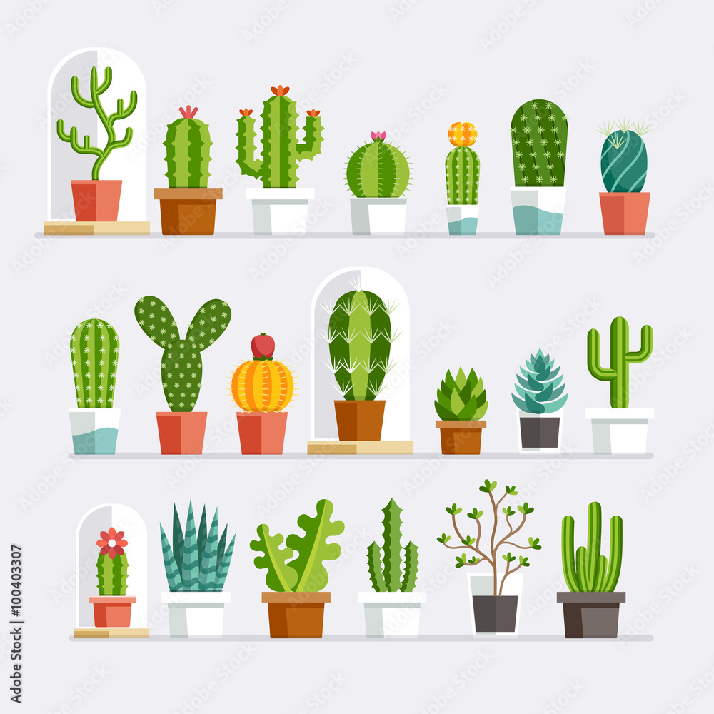 Cactus flat style. Vector illustration. Cactus flat style. Vector illustration.