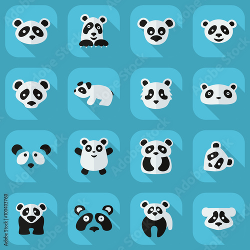 Flat concept, set modern design with shadow pandas