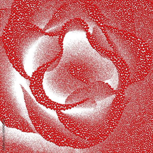 Valentine s day background with hearts. Rose  formed from 1500 000 red hearts on a white background. 