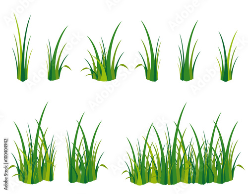 Gras Spielwiese Wiese
