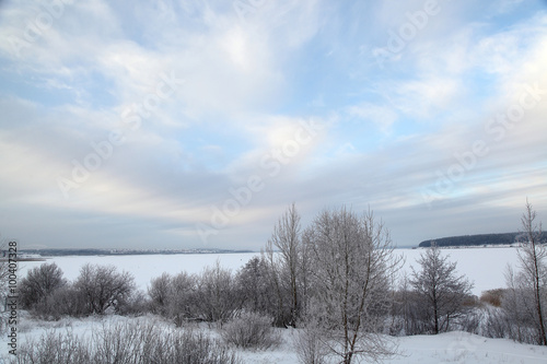 Trees in the winter © Сергей Чирков