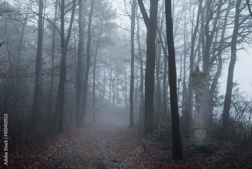 Nebel im Wald © emiljovanov