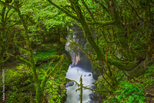 Gachedili canyon, Georgia