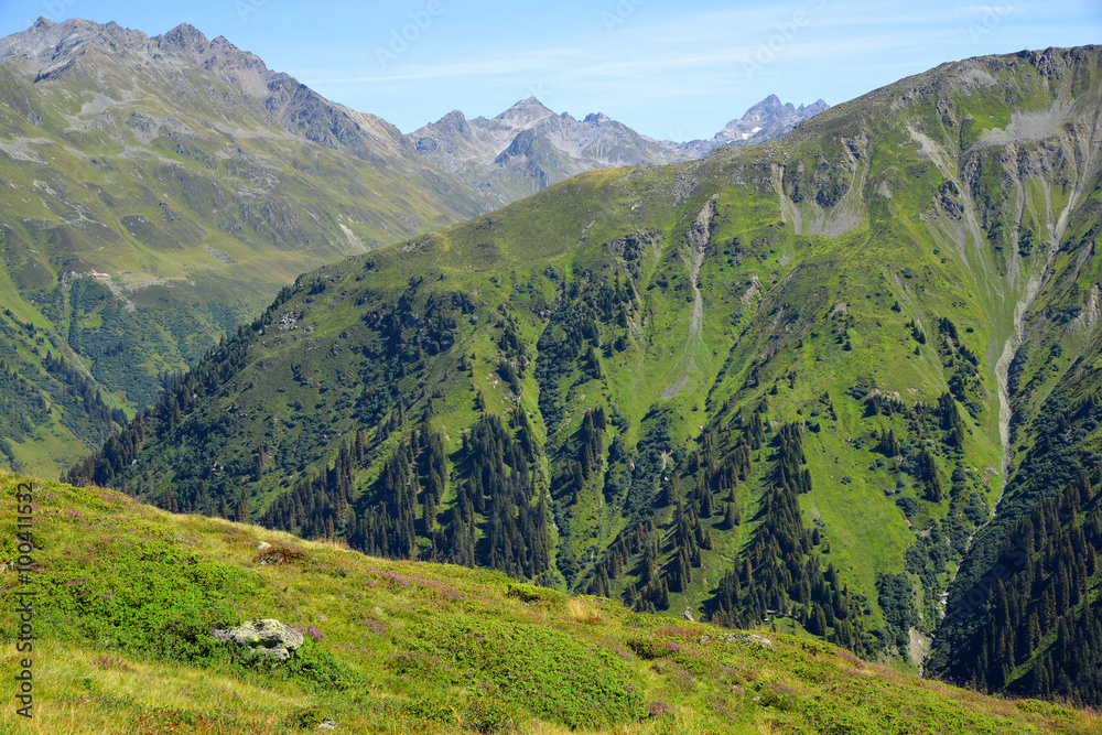 Summer landscape in Switzerland Alps - canton Graubunden.