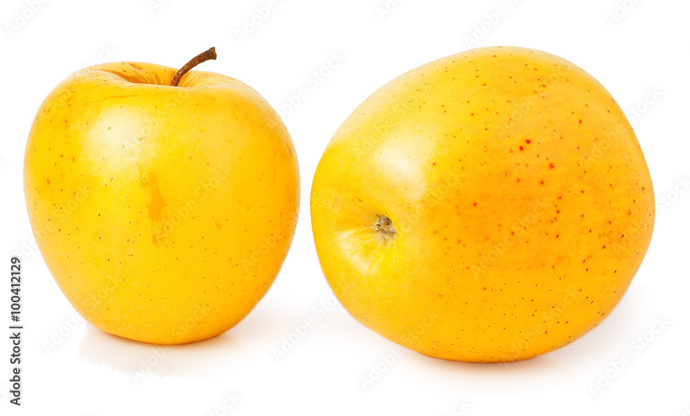 two yellow apples on a white background