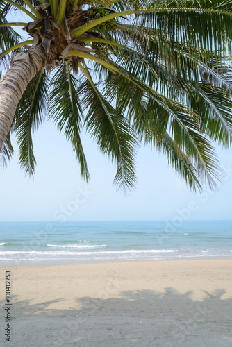 Tropical beach with coconut palm at summer time