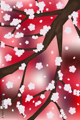 梅の花