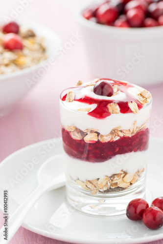 Joghurt Nachtisch mit Müsli und Cranberrys