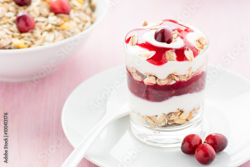 Gesundes Dessert mit Joghurt und Cranberry