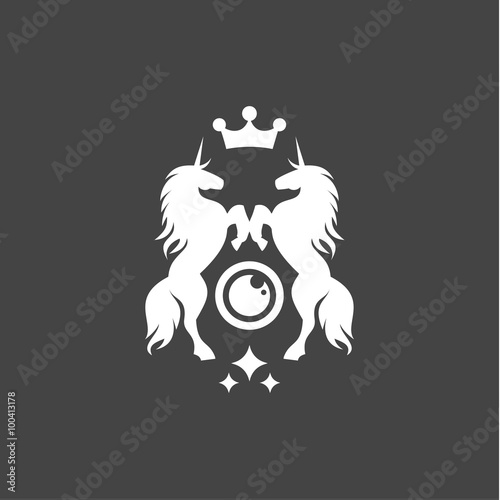 Two Unicorns illustration crown shine flat style