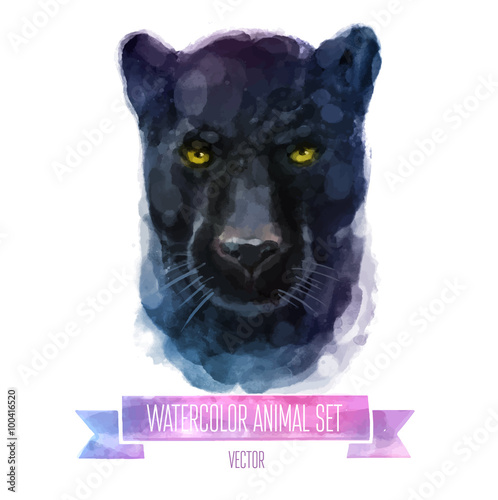 Vector set of watercolor illustrations. Cute panther